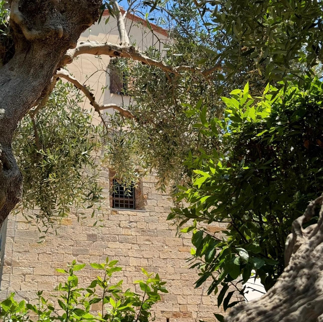 Madonna Del Poggio Cav Aparthotel Scarlino Exterior foto