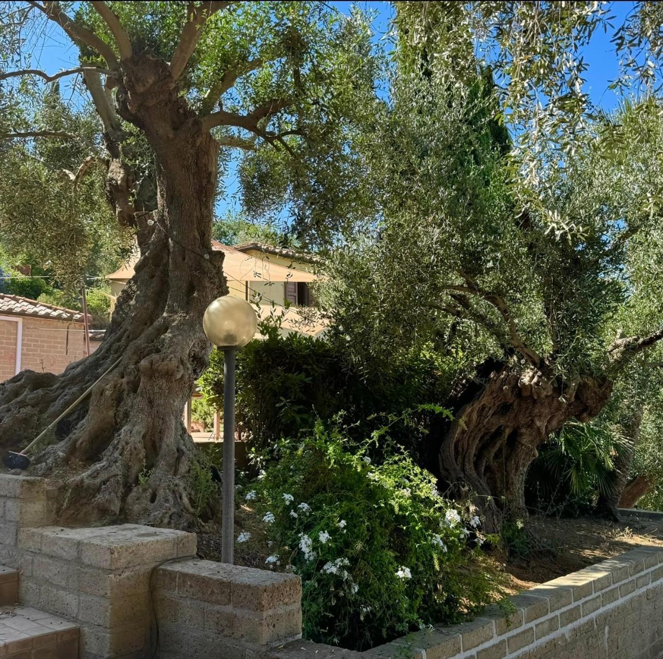 Madonna Del Poggio Cav Aparthotel Scarlino Exterior foto