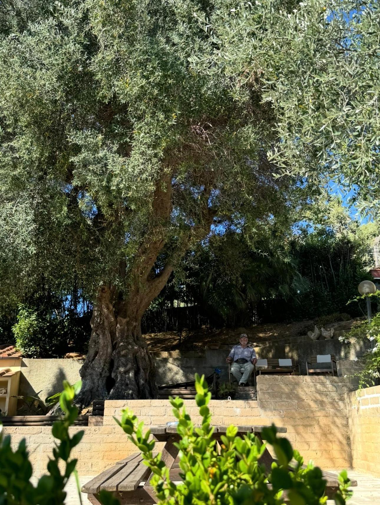 Madonna Del Poggio Cav Aparthotel Scarlino Exterior foto